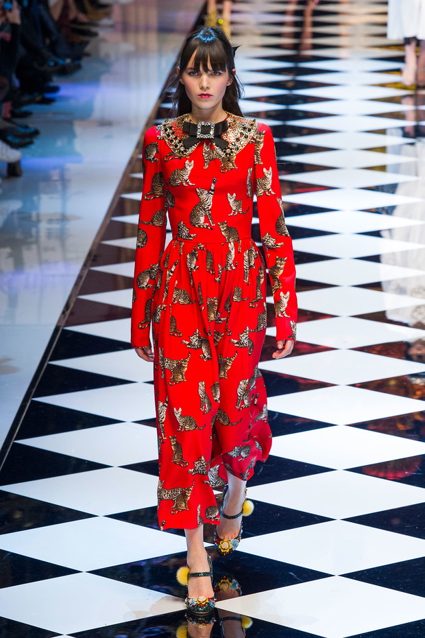 Dolce & Gabbana jesień-zima 2016/2017