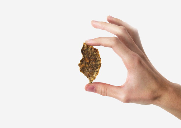 Peel Saver, projekt: Simone Caronni, Paolo Stefano Gentile, Pietro Gaeli