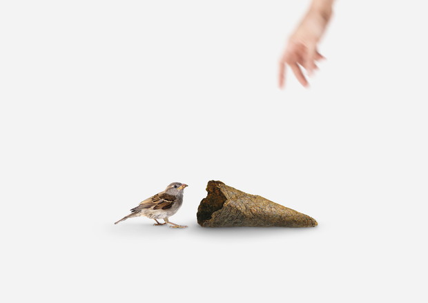 Peel Saver, projekt: Simone Caronni, Paolo Stefano Gentile, Pietro Gaeli