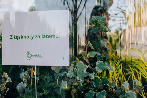 Ogrody zamiast reklam na ulicach Warszawy