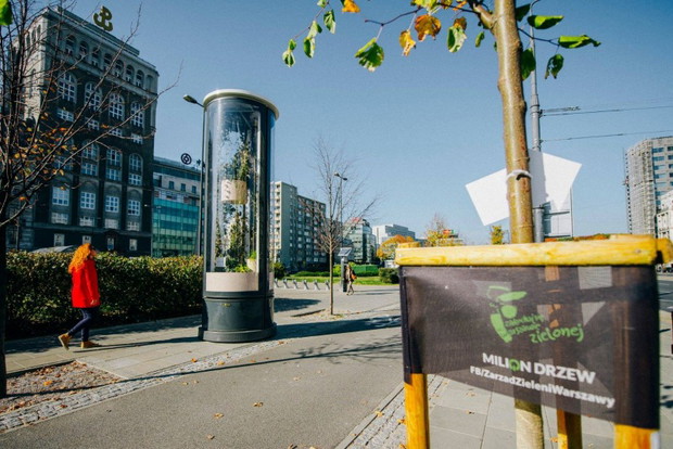 Ogrody zamiast reklam na ulicach Warszawy