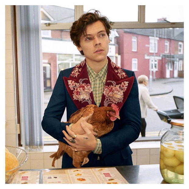 Harry Styles w kampani Gucci z kurą