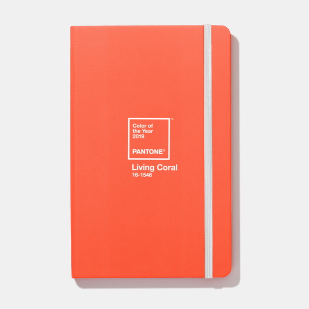Notes Pantone w kolorze Living Coral