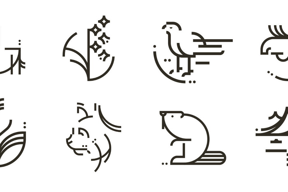 Propozycje logotypów dla Polskich Parków Narodowych