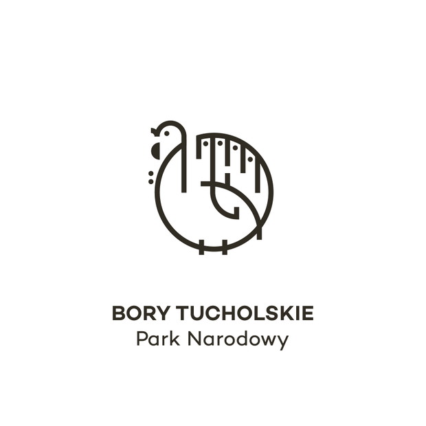 Bory Tucholskie Park Narodowy, projekt: Klaudia Klimas