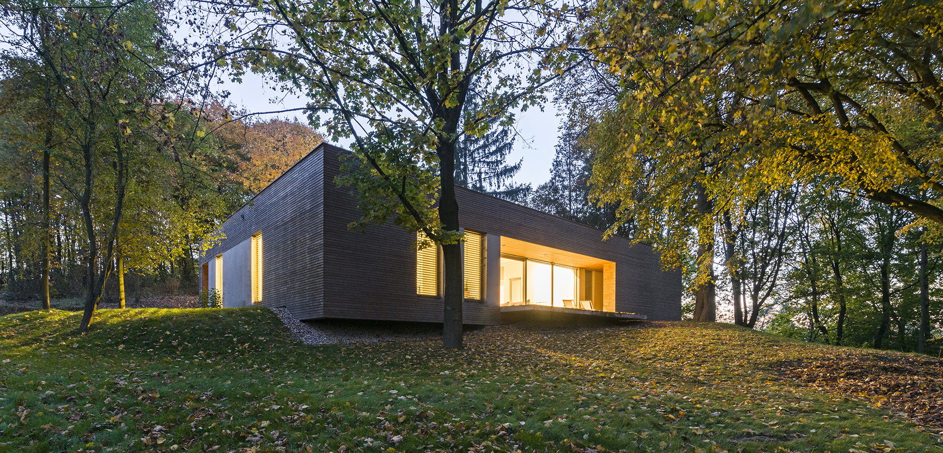 Dom w Lesie, projekt: 081 Architekci