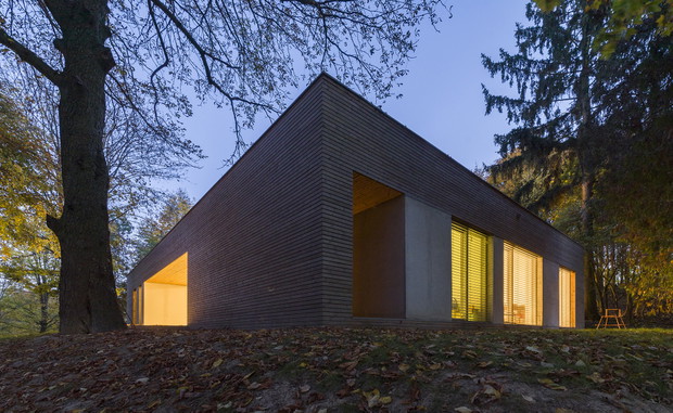 Dom w Lesie, projekt: 081 Architekci