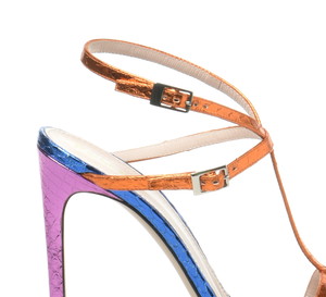 POLLINI