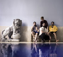 Foals