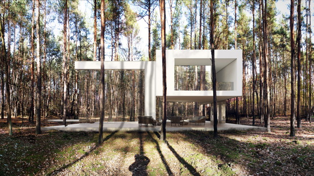 Mirror House 2, Reform architekt