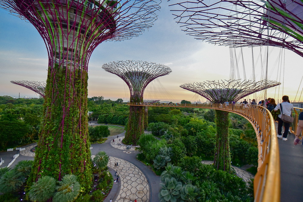 Ogrody nad Zatoką, Gardens by the Bay, Singapur, fot. Shutterstock