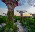 Ogrody nad Zatoką, Gardens by the Bay, Singapur, fot. Shutterstock