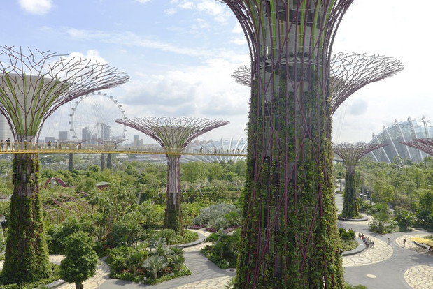 Gardens by the Bay, Singapur, fot. EAST NEWS