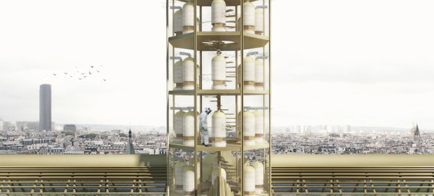 Notre Dame ze szklanym dachem, projekt: Studio NAB