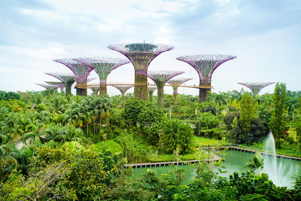 Ogrody nad Zatoką, Gardens by the Bay, Singapur, fot. Shutterstock