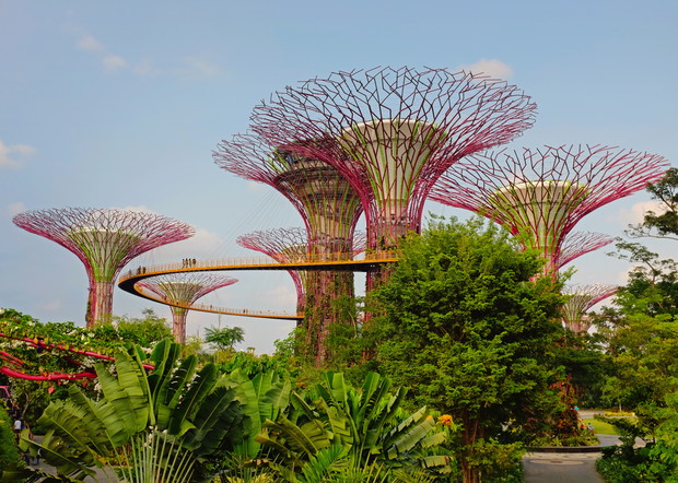 Ogrody nad Zatoką, Gardens by the Bay, Singapur, fot. Shutterstock