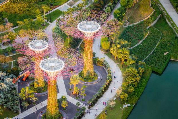 Ogrody nad Zatoką, Gardens by the Bay, Singapur, fot. Shutterstock