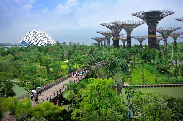 Ogrody nad Zatoką, Gardens by the Bay, Singapur, fot. Shutterstock
