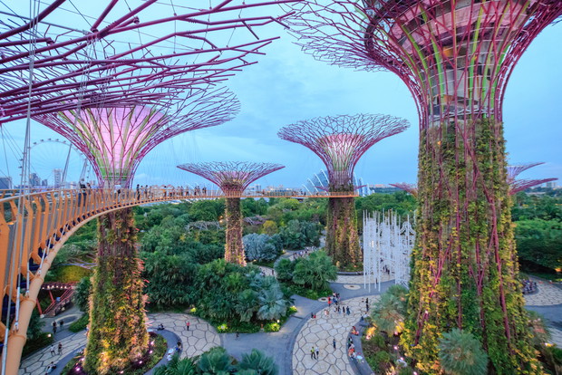 Ogrody nad Zatoką, Gardens by the Bay, Singapur, fot. Shutterstock