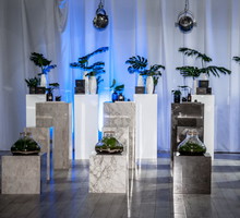Premiera kolekcji Dekton Stonika, Cosentino