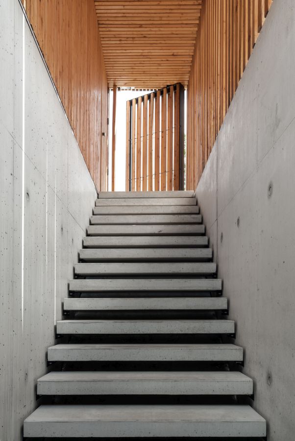 Dom JRv2 w Poznaniu, projekt: Adam Wysocki , de.materia, fot. Tom Kurek