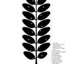 Polish Female Artists First w Wall Gallery