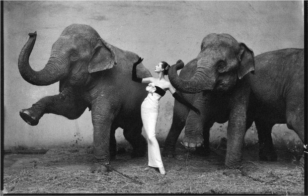 Richard Avedon, 1955