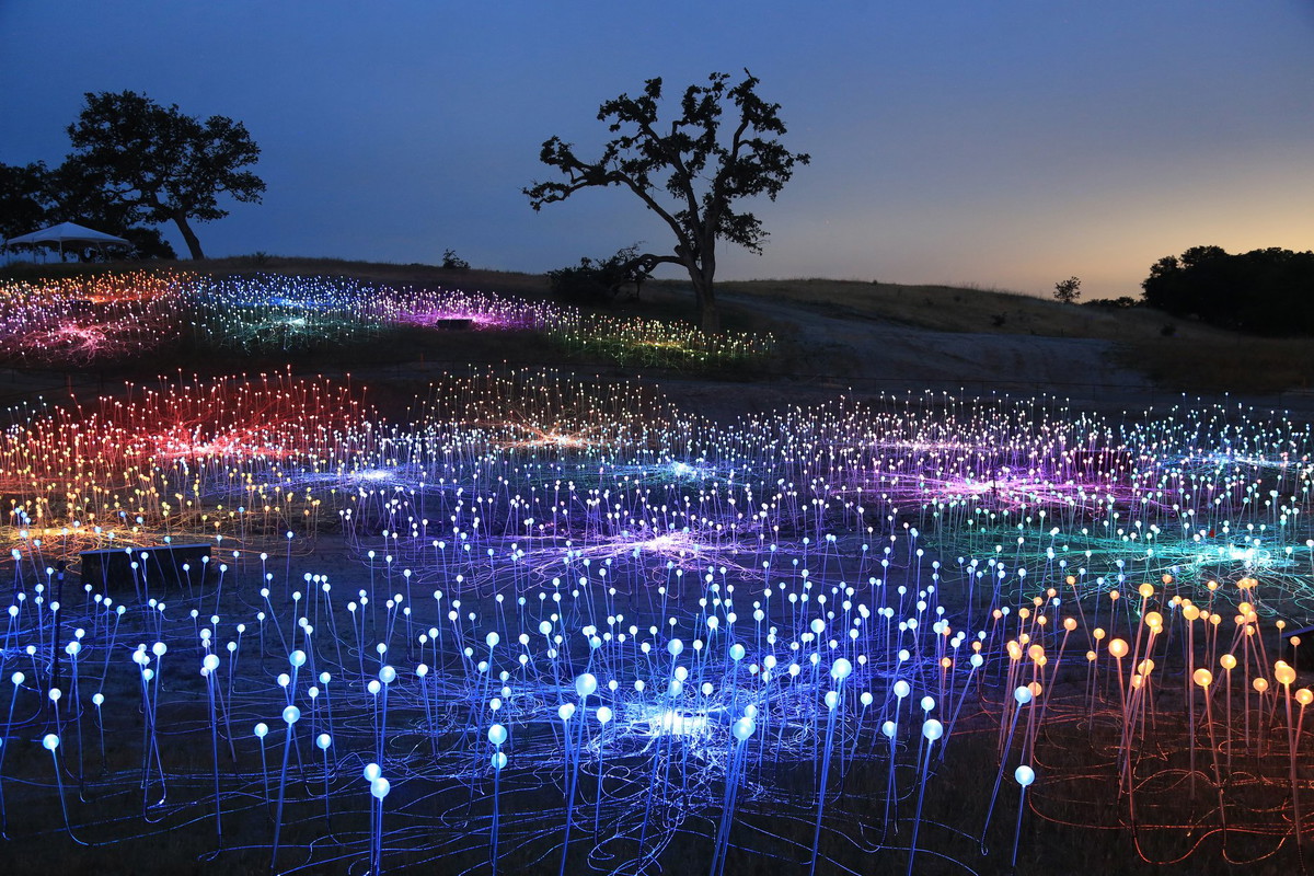 Field of Light w Sensorio w Paso Robles w Kalifornii, Bruce Munro