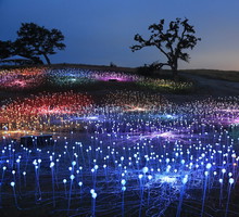 Field of Light w Sensorio w Paso Robles w Kalifornii, Bruce Munro