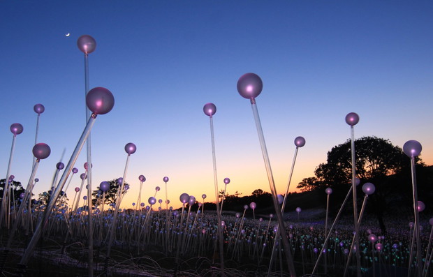 Field of Light w Sensorio w Paso Robles w Kalifornii, Bruce Munro