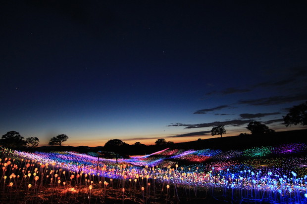 Field of Light w Sensorio w Paso Robles w Kalifornii, Bruce Munro