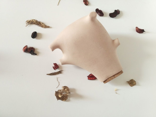 PiggyB 2.0., autorka Katarzyna Mazurek