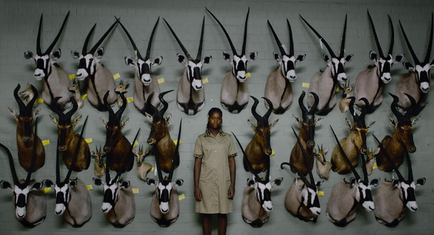 Safari Ulrich Seidl