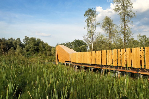 Enklawa przyrodnicza Bobrowisko w Starym Sączu, projekt: 55Architekci