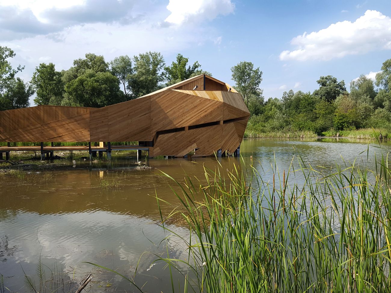 Enklawa przyrodnicza Bobrowisko w Starym Sączu, projekt: 55Architekci