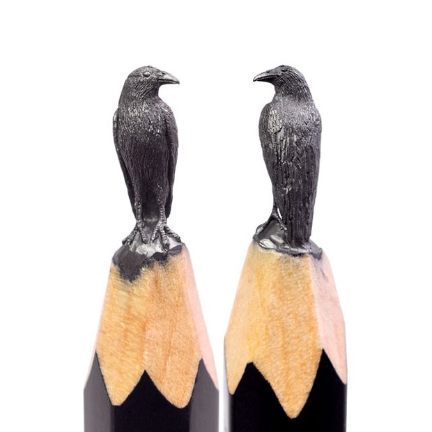 Kruk, Salavat Fidai, fot. salavatfidai