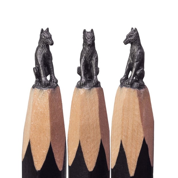 Wilkory, Salavat Fidai, fot. salavatfidai