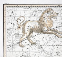 Horoskop: sierpień 2019