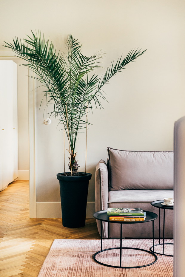 Wnętrze tygodnia: Warszawa - eleganckie 40 m2 w starej kamienicy