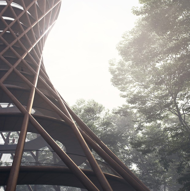 Ścieżka widokowa Treetop, projekt: EFFEKT, fot. East News
