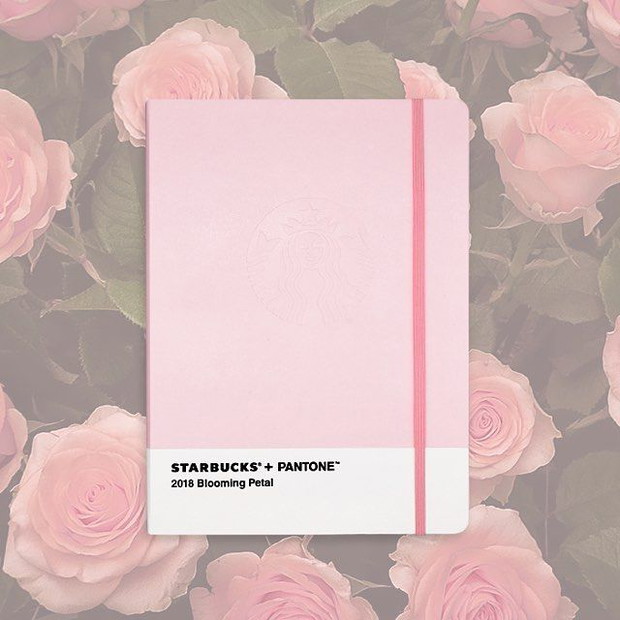 Kalendarze i plannery, Starbucks x Pantone