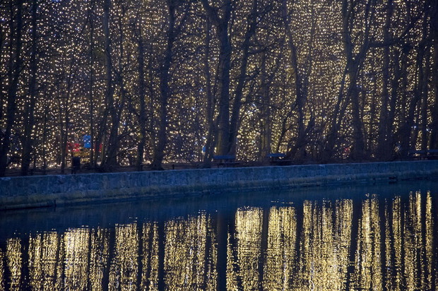 Iluminacja w Parku Oliwskim w Gdańsku, fot. East News