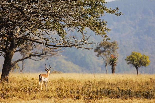 Eswatini