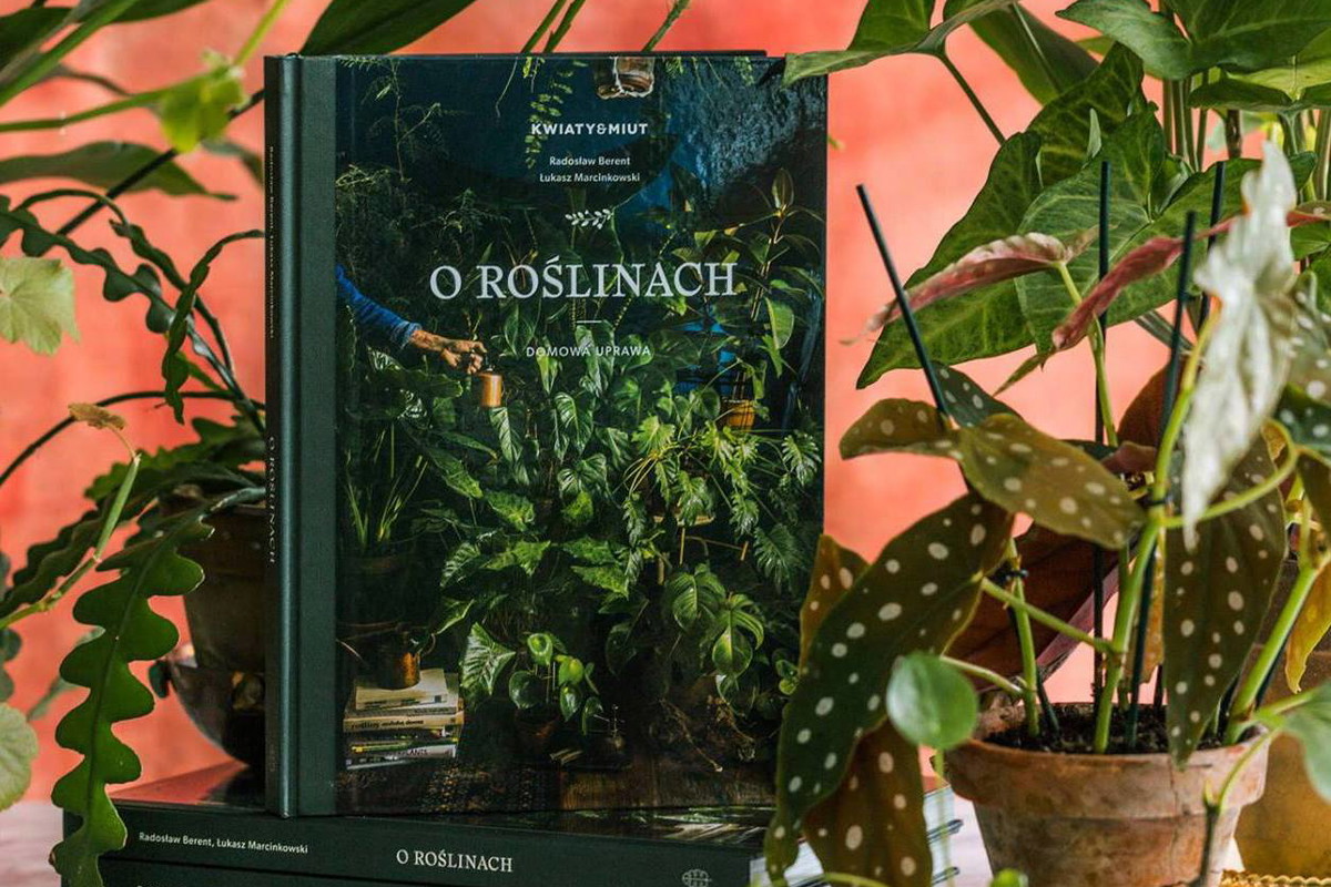 "O roślinach", Radosław Berent, Łukasz Marcinkowski