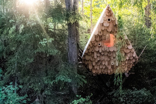 Domek jak budka dla ptaków, Studio North