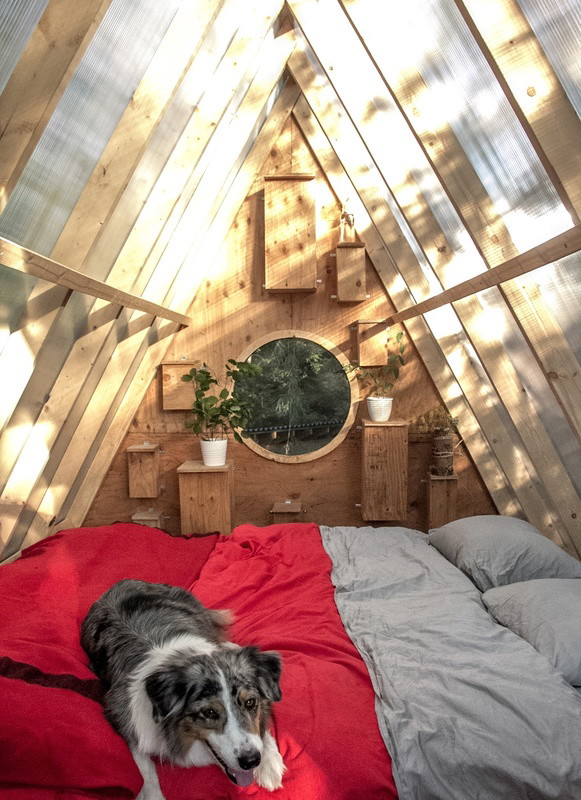 Domek jak budka dla ptaków, Studio North