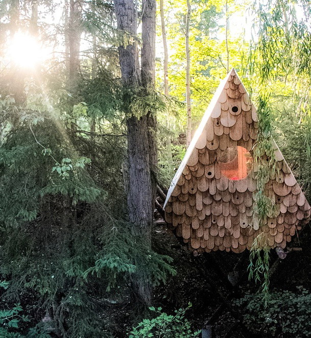 Domek jak budka dla ptaków, Studio North