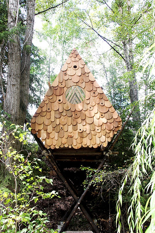 Domek jak budka dla ptaków, Studio North