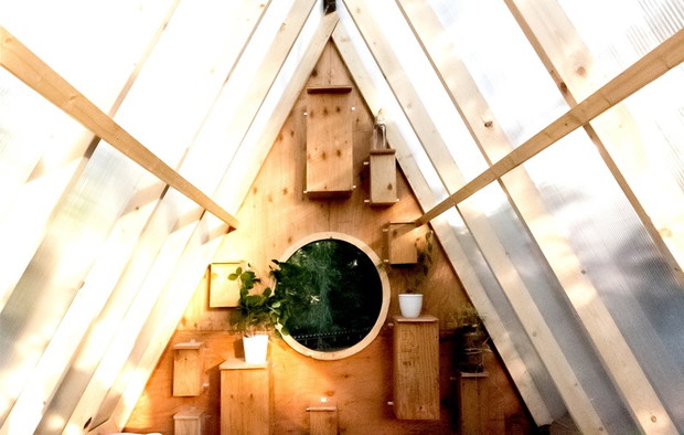 Domek jak budka dla ptaków, Studio North