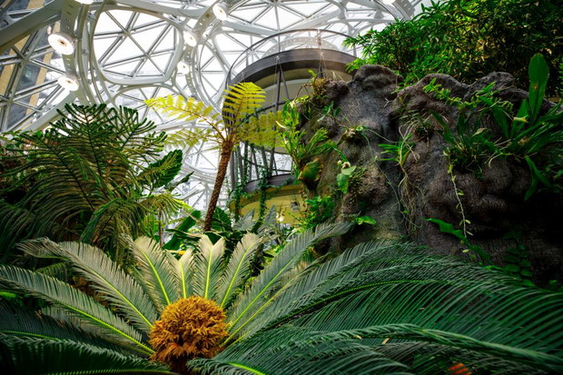 The Spheres, biuro Amazon w Seattle